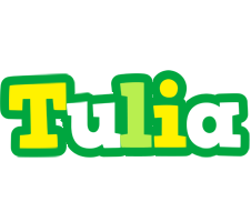 Tulia soccer logo