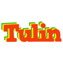 Tulin bbq logo