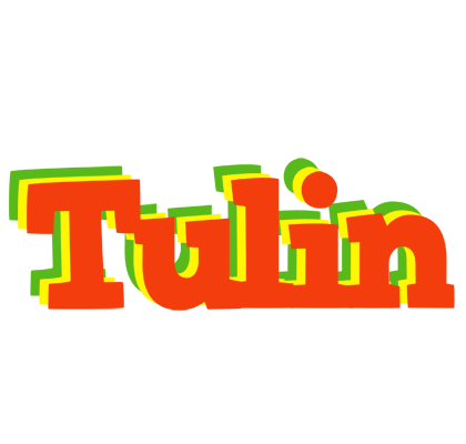 Tulin bbq logo