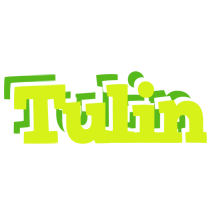Tulin citrus logo
