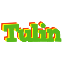 Tulin crocodile logo