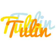 Tulin energy logo