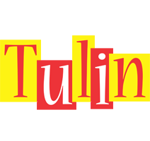 Tulin errors logo