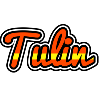 Tulin madrid logo