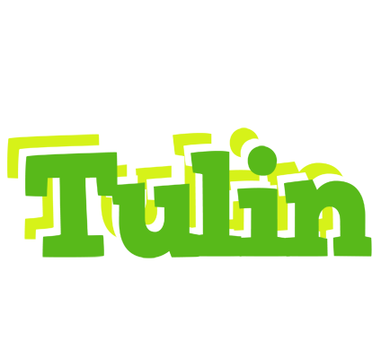 Tulin picnic logo