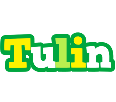 Tulin soccer logo