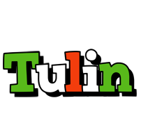 Tulin venezia logo
