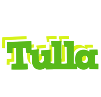 Tulla picnic logo