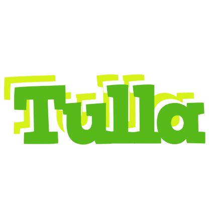 Tulla picnic logo