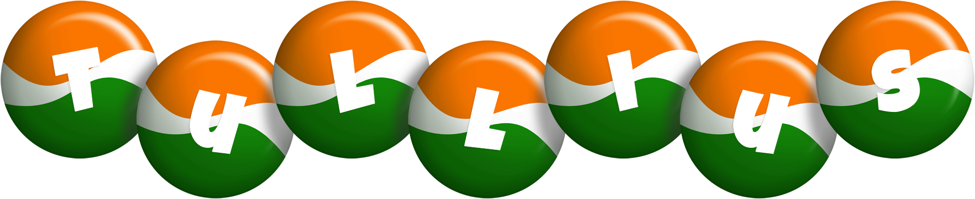 Tullius india logo