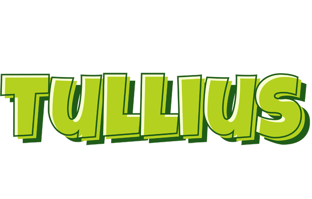 Tullius summer logo