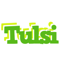 Tulsi picnic logo