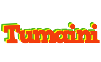 Tumaini bbq logo