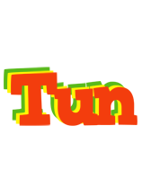 Tun bbq logo