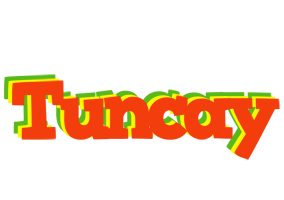 Tuncay bbq logo