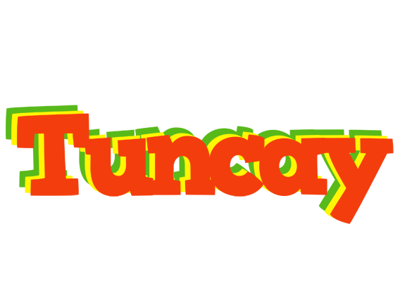 Tuncay bbq logo