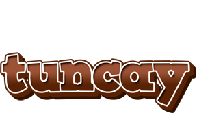 Tuncay brownie logo