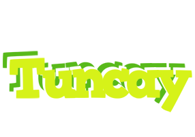 Tuncay citrus logo