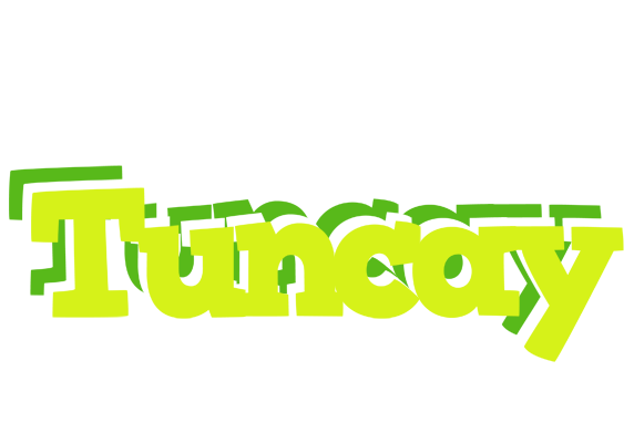 Tuncay citrus logo