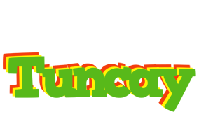 Tuncay crocodile logo