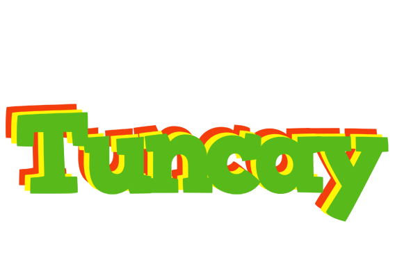 Tuncay crocodile logo