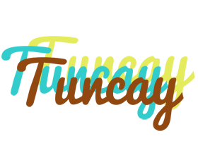 Tuncay cupcake logo