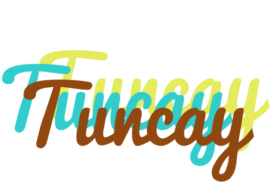 Tuncay cupcake logo