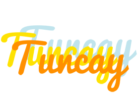 Tuncay energy logo