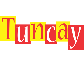 Tuncay errors logo