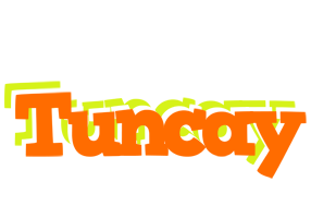 Tuncay healthy logo
