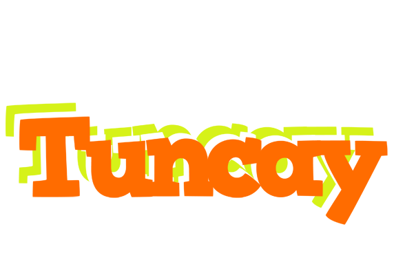 Tuncay healthy logo