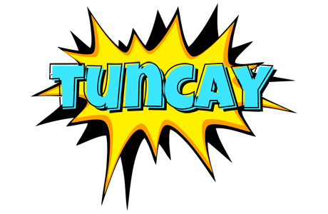 Tuncay indycar logo