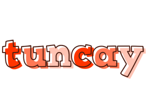 Tuncay paint logo