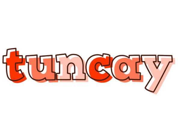 Tuncay paint logo