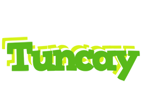 Tuncay picnic logo
