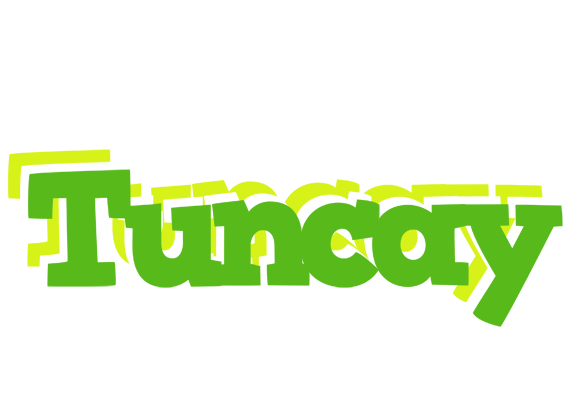 Tuncay picnic logo