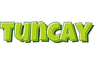 Tuncay summer logo