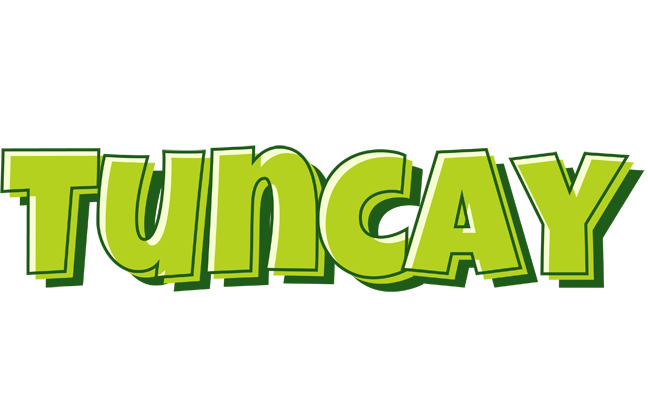 Tuncay summer logo