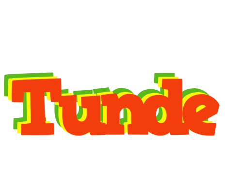 Tunde bbq logo