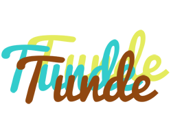 Tunde cupcake logo