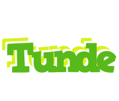 Tunde picnic logo