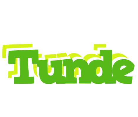 Tunde picnic logo