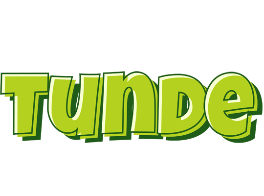 Tunde summer logo