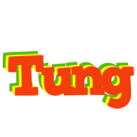 Tung bbq logo