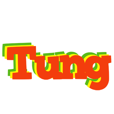 Tung bbq logo