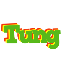 Tung crocodile logo