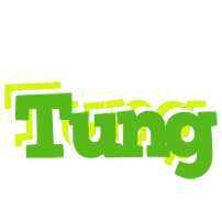 Tung picnic logo