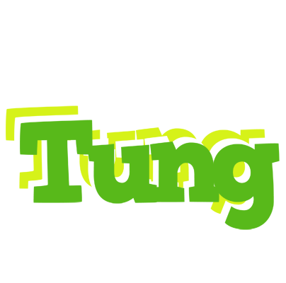 Tung picnic logo