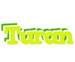 Turan citrus logo