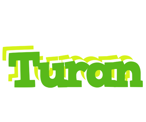 Turan picnic logo